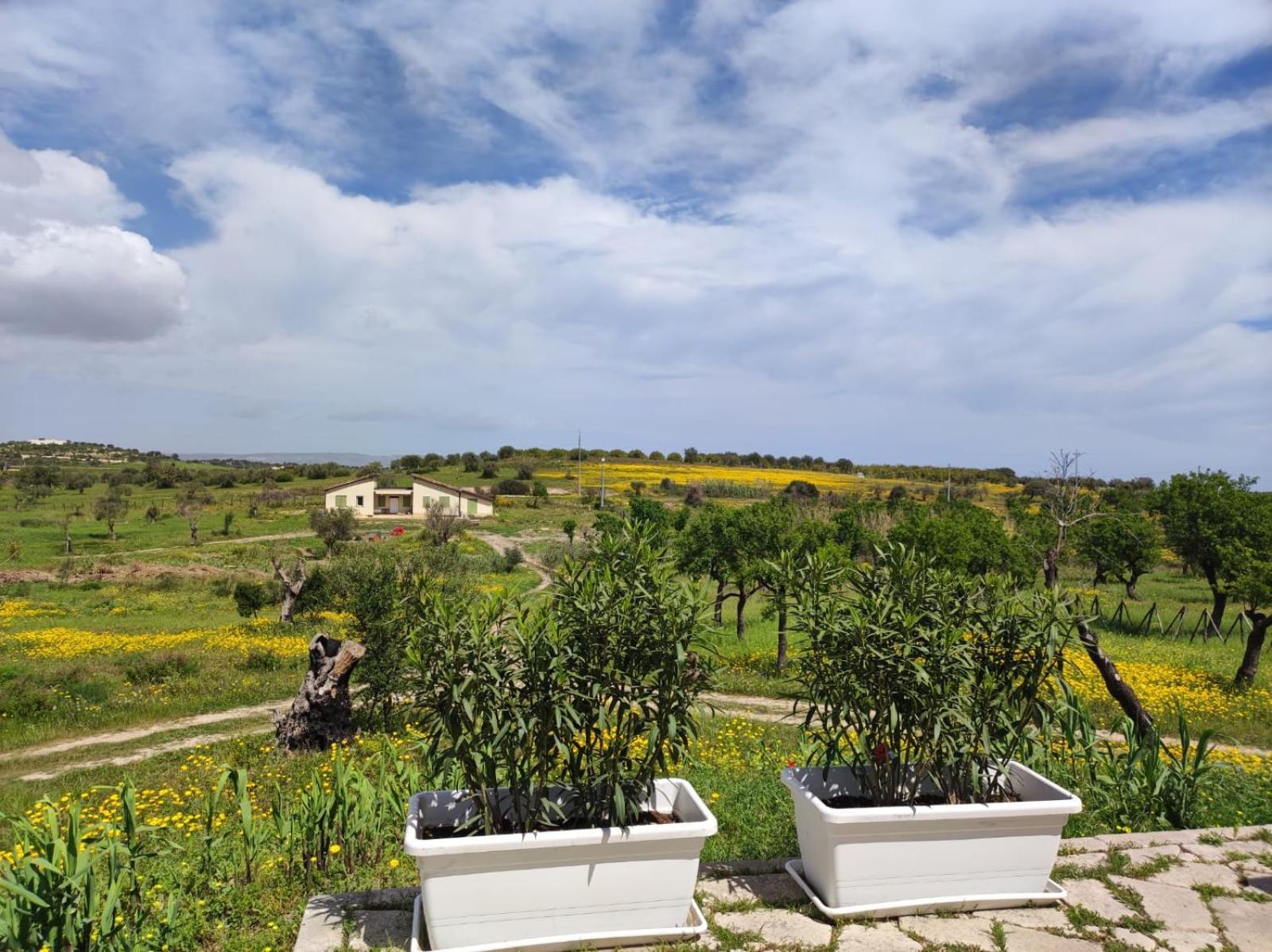 Henfeversicily Chalet Colapesce Casale Modica ภายนอก รูปภาพ